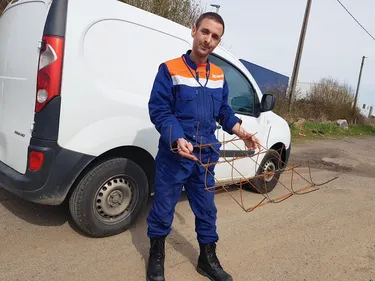 La ville repart en guerre contre la nidification des goélands