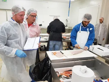 12 poissonniers en lice pour le titre de "Meilleur Ouvrier de France"