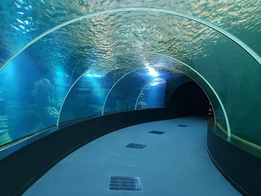 On a visité le grand Nausicaa, à un mois de l’ouverture