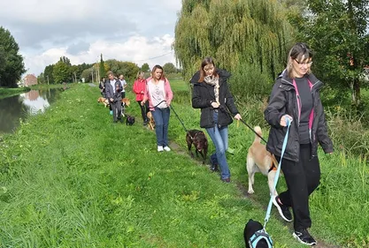 Une cani-marche solidaire pour l’adoption responsable !