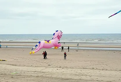 Des cerfs-volants impressionnant à la ronde des vents à Bray-Dunes
