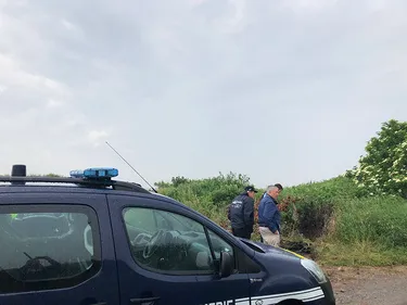 Un chien battu et brûlé dans les dunes d'Ecault