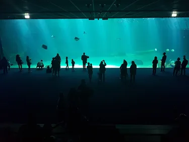 La création d’entreprises a bondi de 9% en 2017