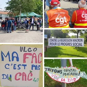 250 personne dans les rues de Dunkerque samedi après-midi