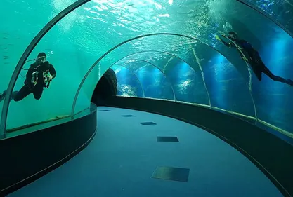 Le grand Nausicaa en chiffres