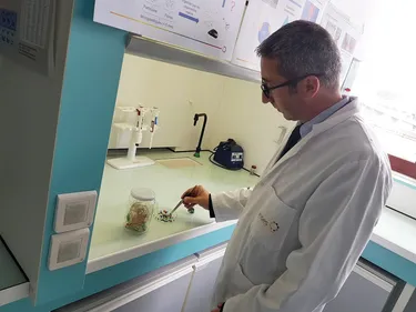 Boulogne: l'ANSES et l'ULCO main dans la main pour contrôler la...