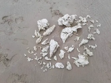 Des galettes de paraffine retrouvées ce matin sur les plages...