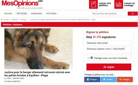 Chien calciné à Equihen-Plage : une pétition réclame justice