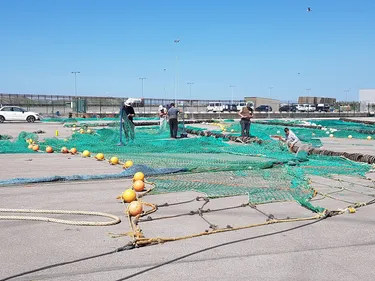 Bientôt un préau pour réparer les filets de pêche à l’abri sur le port