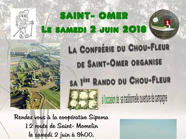 La confrérie du chou-fleur organise sa 1ère rando du chou-fleur !