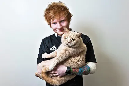 Ed Sheeran ouvre un compte Instagram pour ses chats