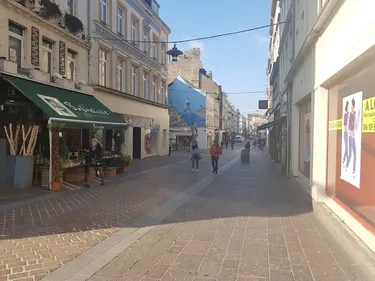 La méconnaissance du néerlandais, un frein au développement du...