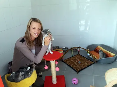 Saint-Georges sur l’Aa : des chatons à l’abandon