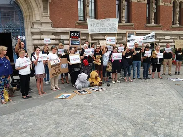 Les militants de la cause animale rassemblés devant la mairie de...