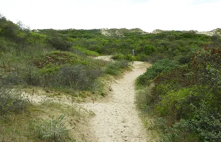 Afflux de migrants: l'Etat va financer des bras pour ramasser les...