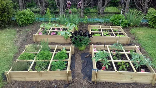 La bibliothèque va ouvrir sa grainothèque !