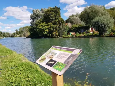 Une balade instructive, ponctuée de panneaux, dans le marais...