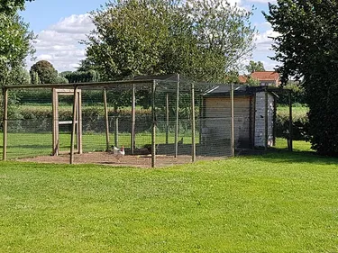 Serques : un poulailler pédagogique apprend la valorisation des...