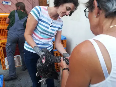 Plus de poules, et moins de détritus !