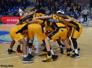 L'Opalico, des classiques du basket, la reprise de la N1 de rink......