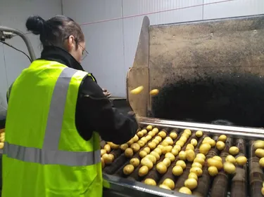 Verpom, l’entreprise flamande qui conditionne et commercialise la...