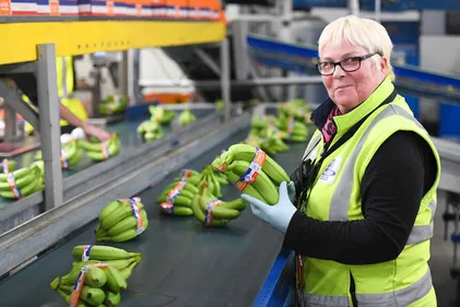 La banane antillaise à l’honneur à Dunkerque !