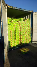 Belle saisie pour les douaniers de la Côte d’Opale