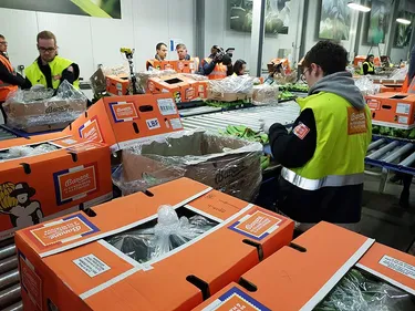 Plongez dans l’incroyable machine du traitement de la banane