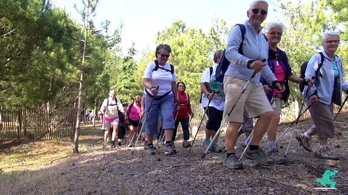 Dans le pays de Lumbres, vous pouvez désormais vous mettre à la...