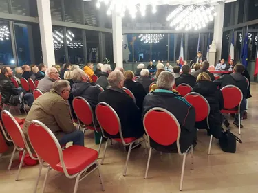 Le quartier des jardins de Steendam chamboulé par une...