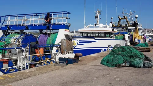Pêche, plaisance, commerce : tous les voyants du port sont au vert...