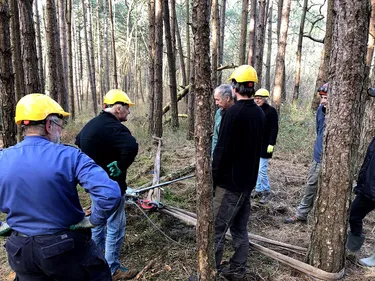 Dannes : le site forestier du Mont Saint-Frieux entretenu par des...