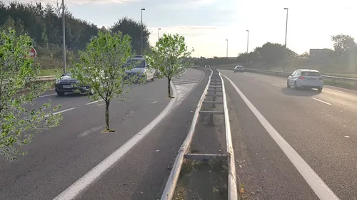 Bientôt des arbres sur la voie de gauche de la RN42, à la sortie...