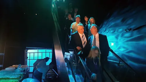 Préservation des requins-marteaux : le maire souhaite réunir un...