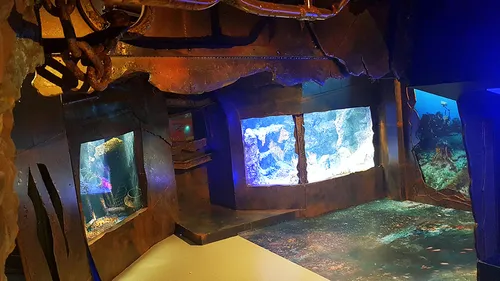 Nausicaa : de nouveaux aquariums et un nouveau restaurant, dès...