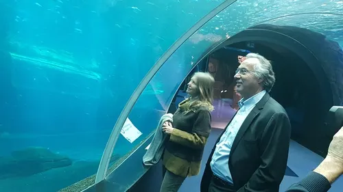 Le directeur de Nausicaá réagit à la mort du trentième requin-marteau