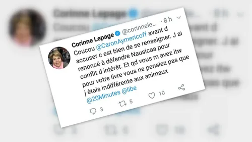 L'ancienne ministre Corinne Lepage ne sera pas l'avocate de Nausicaà
