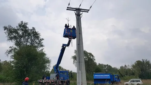 Une cigogne s’installe sur un poteau électrique, Enedis et la LPO...