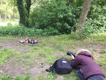 Grâce à Jessica, les animaux aussi jouent les mannequins