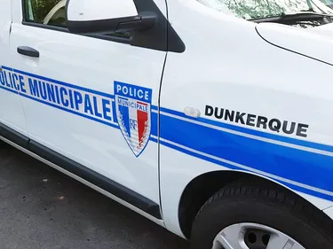 Trois jeunes filles interpellées après voir jeté un chien du...