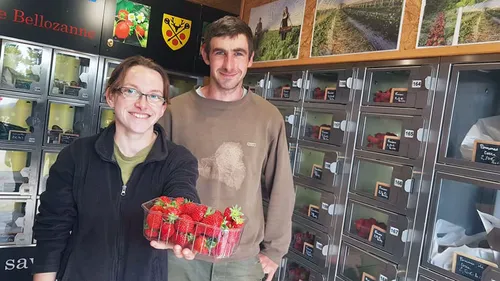 Samer : une envie de fraises ? Rendez-vous 24/24 au distributeur de...