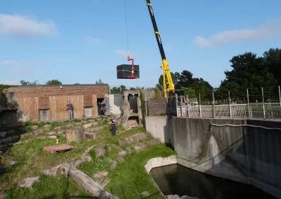 Kiwi et Dominique ont quitté le zoo de Fort-Mardyck !