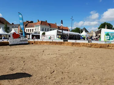 Des vaches, des chevaux et tout un univers à découvrir avec la...