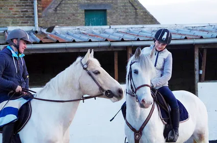 Une cagnotte en ligne pour aider deux chevaux malades
