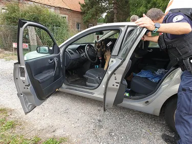 Un contrôle routier de grande ampleur au rond-point du Fort-Rouge