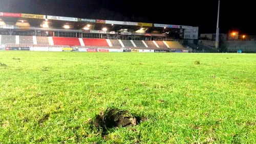 Une pelouse hybride pour le stade de la Libération !