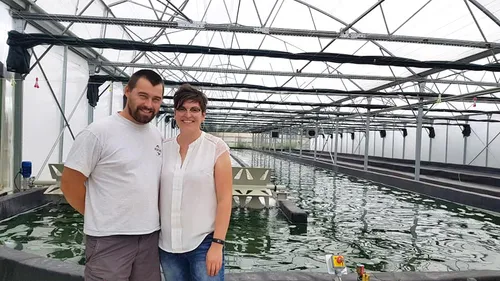 A Moringhem, ils cultivent de la spiruline, un super aliment