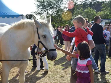 Le Wast : La fête du parc va vous en mettre plein les yeux et les...