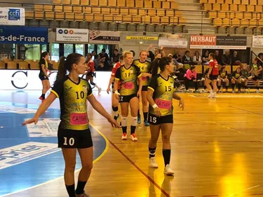 Basket, foot avec la coupe de France, hand... L'agenda du week-end