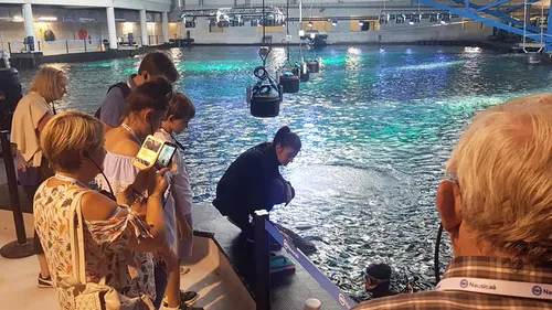 Boulonnais: l'industrie recrute, mais peine encore à trouver de la...